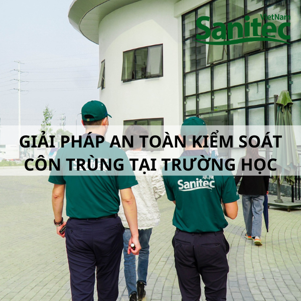 Giải Pháp An Toàn Kiểm Soát Côn Trùng Tại Trường Học